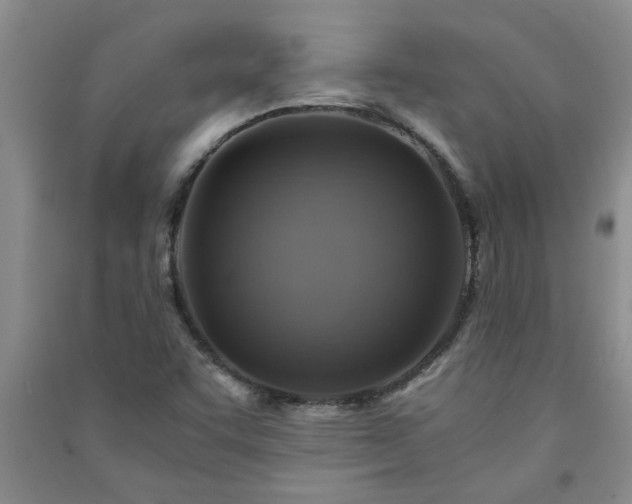 X0000091361455200708171514