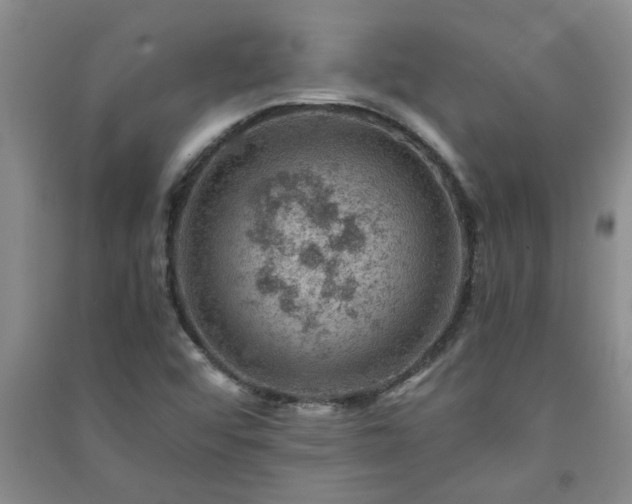 X0000091361456200708171514