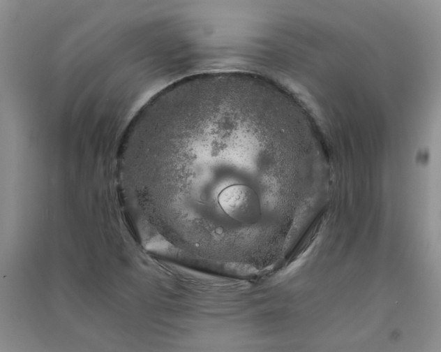 X0000091361457200708171514