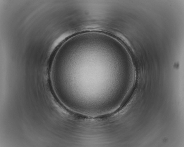 X0000091361458200708171514