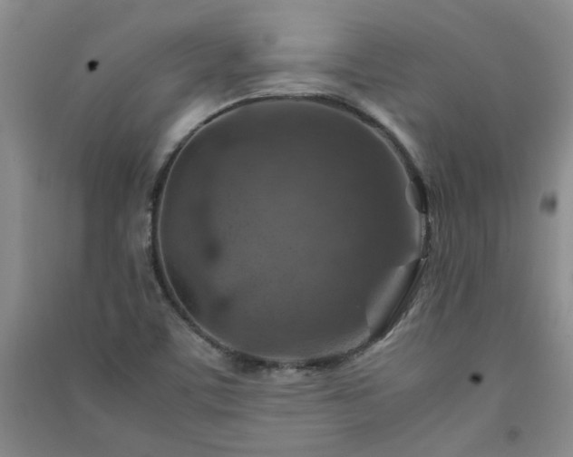 X0000091361459200708171514