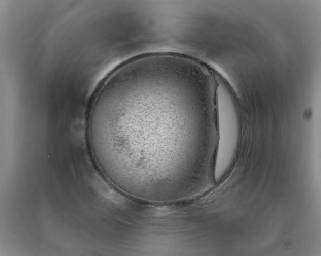 X0000091361460200708171514