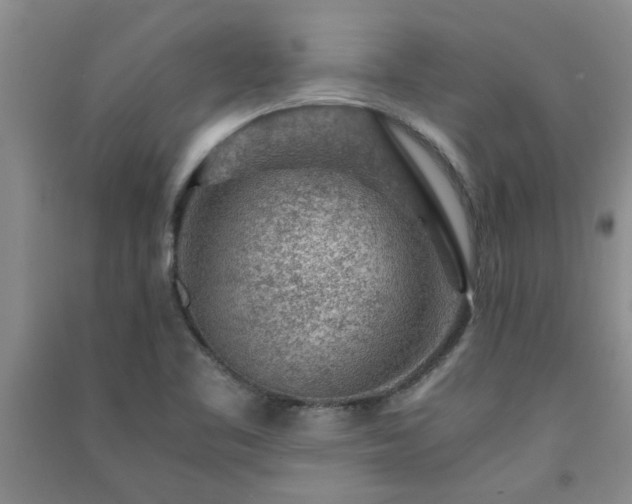 X0000091361461200708171514