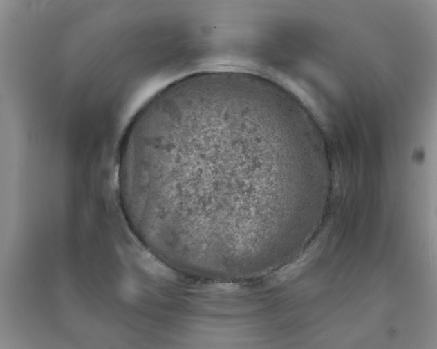 X0000091361462200708171514