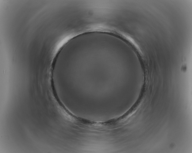 X0000091361463200708171514