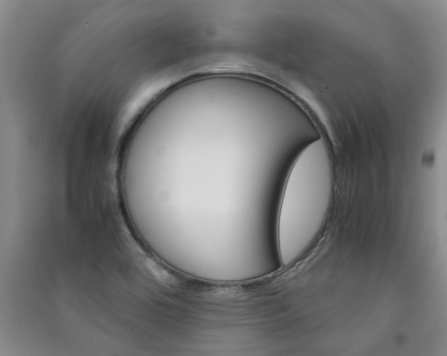 X0000091361464200708171514