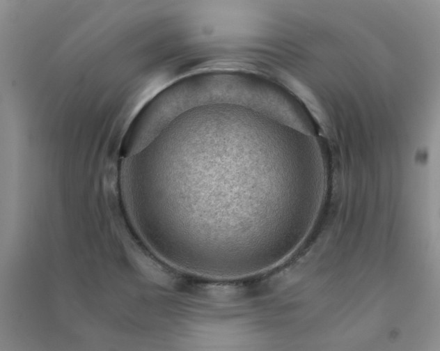 X0000091361465200708171514