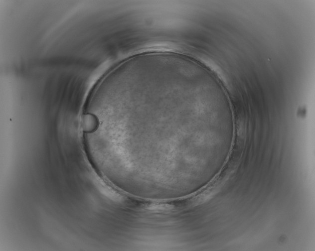 X0000091361466200708171514