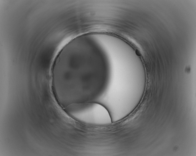X0000091361467200708171514