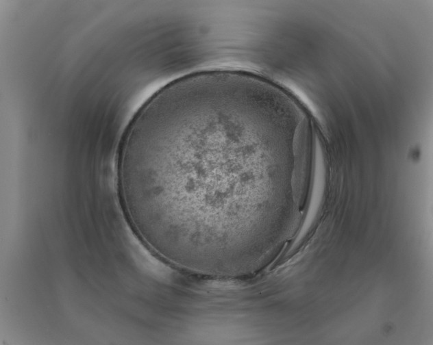 X0000091361468200708171514
