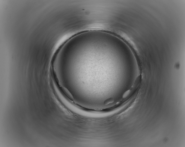 X0000091361469200708171514