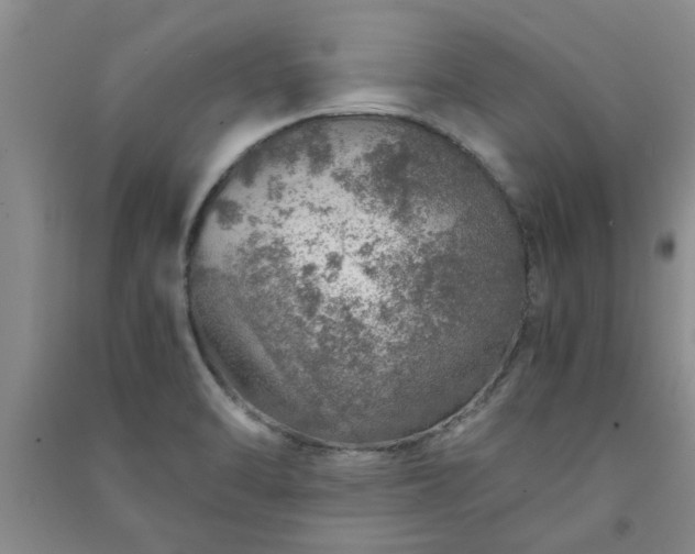 X0000091361470200708171514