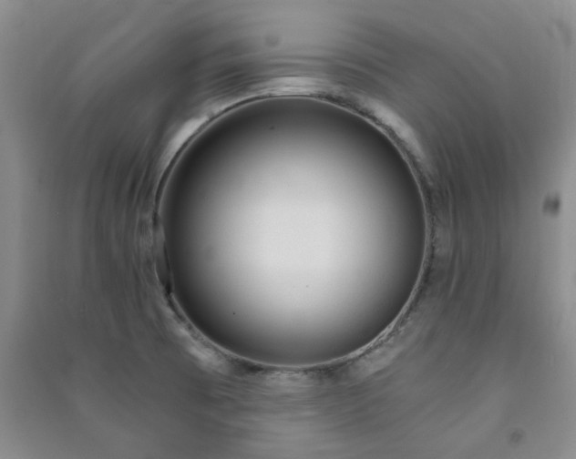 X0000091361473200708171514