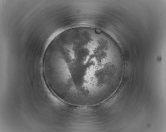 X0000091361474200708171514