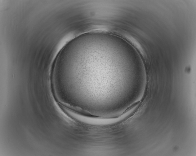 X0000091361475200708171514