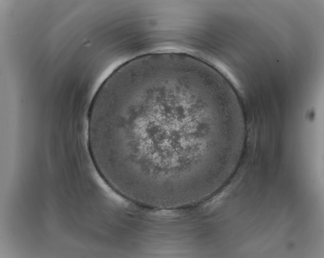 X0000091361476200708171514