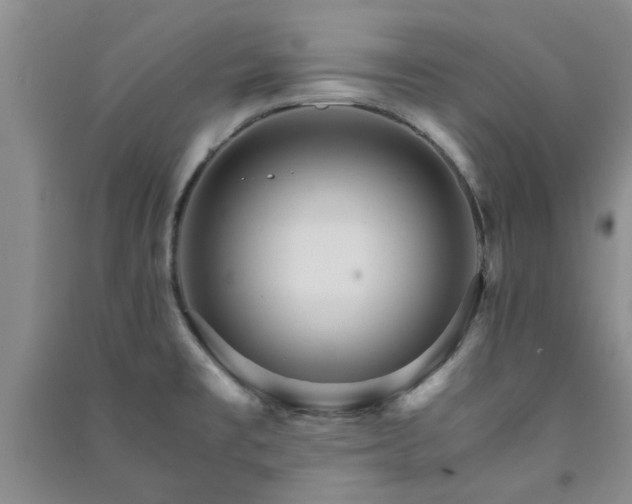 X0000091361477200708171514