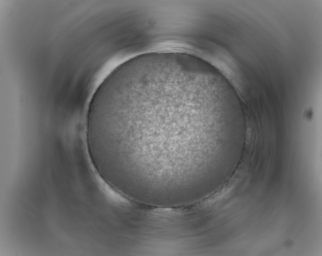 X0000091361478200708171514