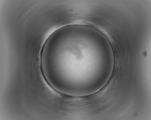 X0000091361479200708171514