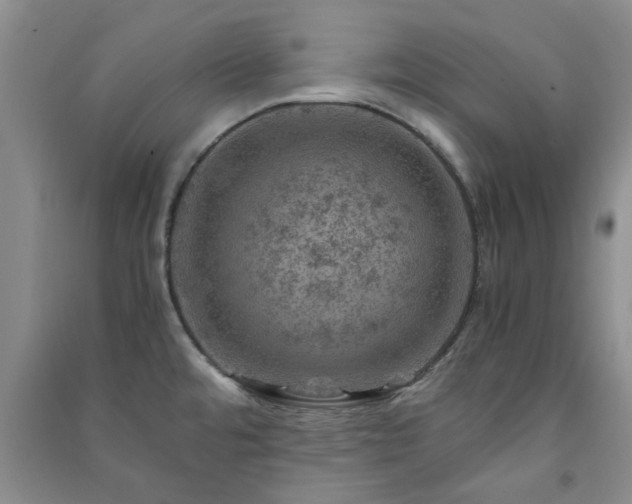 X0000091361480200708171514