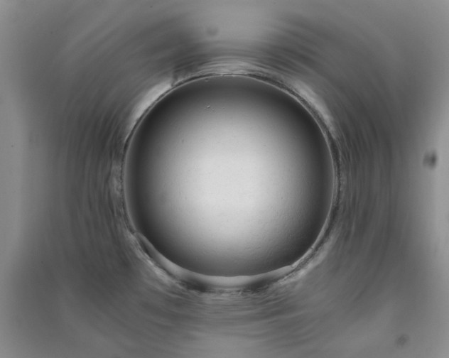 X0000091361481200708171514