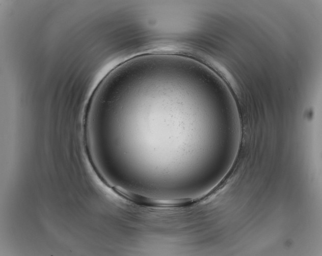 X0000091361483200708171514