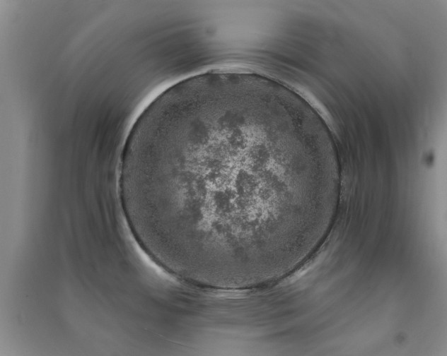 X0000091361484200708171514