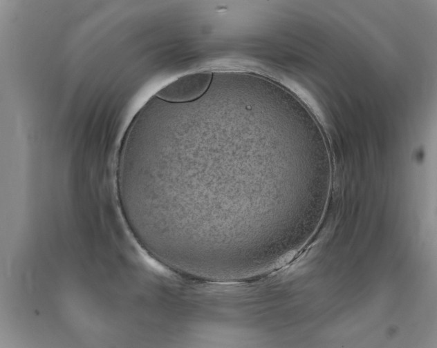 X0000091361486200708171514