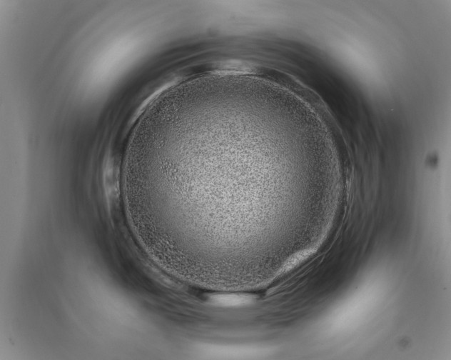 X0000091361487200708171514