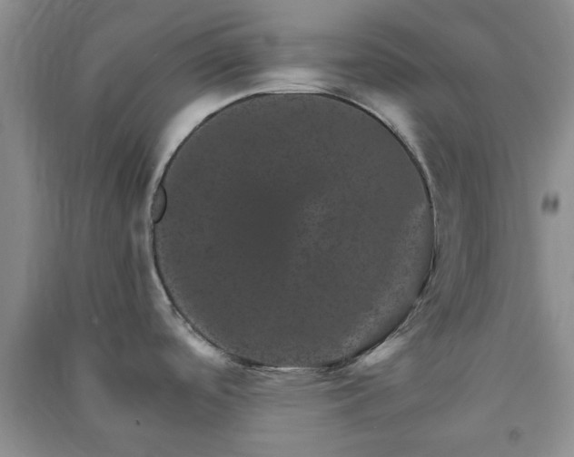 X0000091361488200708171514