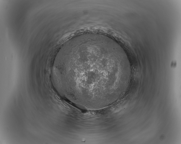 X0000091361489200708171513