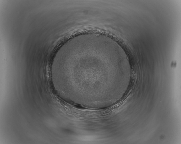 X0000091361490200708171513