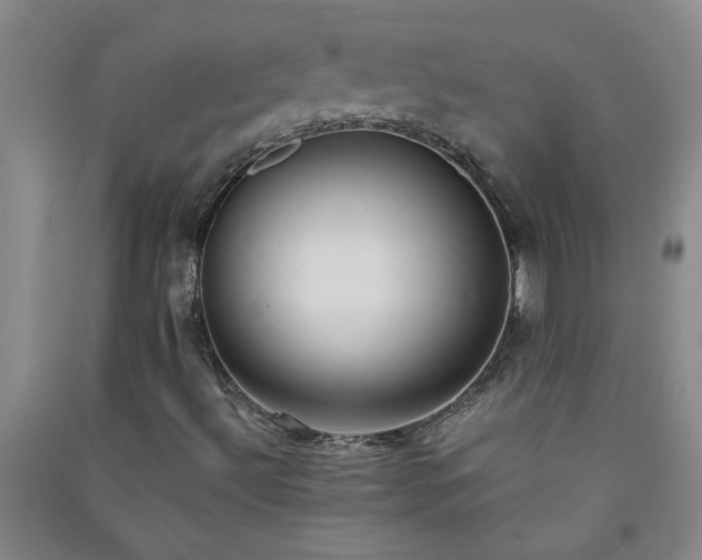 X0000091361492200708171513