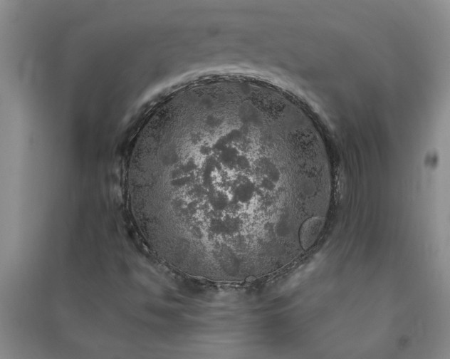 X0000091361494200708171513