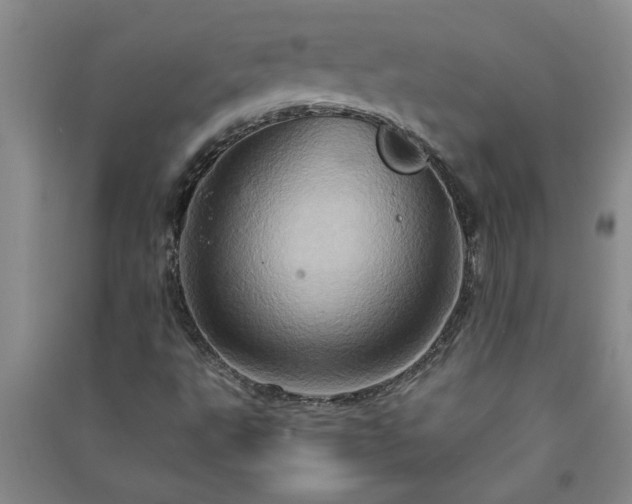 X0000091361495200708171513