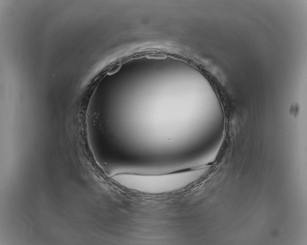X0000091361496200708171513