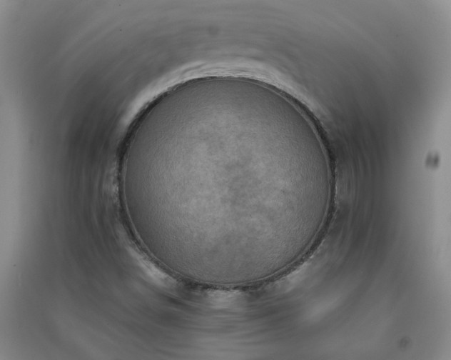 X0000091361498200708171513