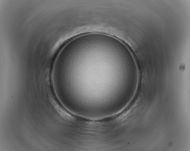 X0000091361499200708171513