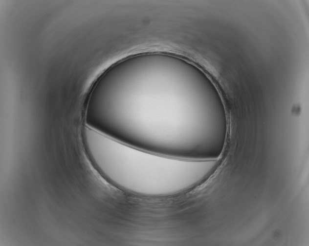 X0000091361500200708171513