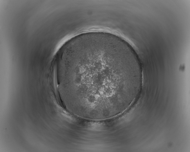 X0000091361501200708171513