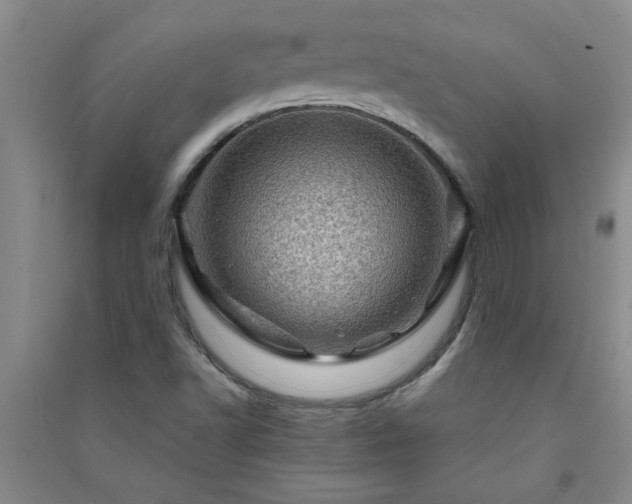 X0000091361502200708171513
