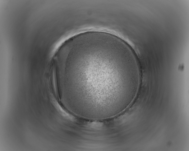 X0000091361503200708171513