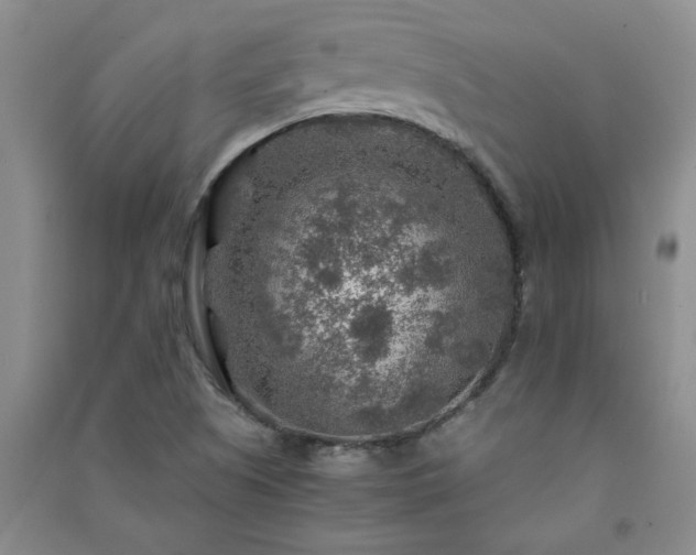 X0000091361505200708171513