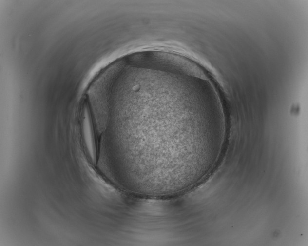 X0000091361506200708171513