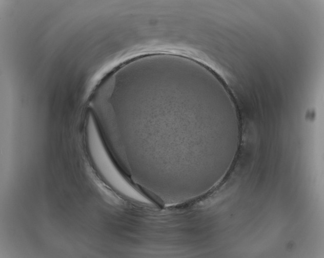 X0000091361507200708171513