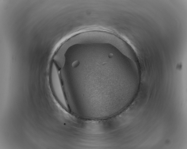 X0000091361508200708171513