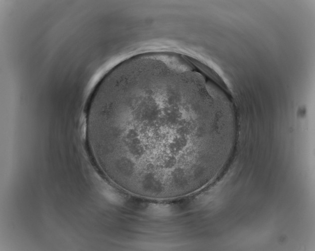 X0000091361509200708171513