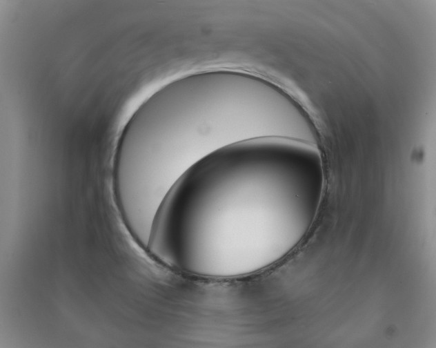 X0000091361512200708171513