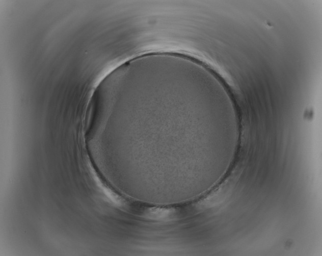 X0000091361513200708171513