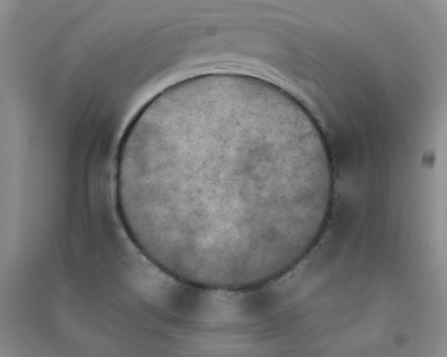 X0000091361514200708171513